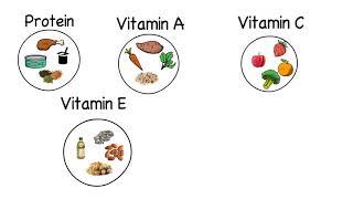 Your Immune System and You | Microlesson