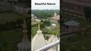 Best Tourist Palace| Nature videos | Meerut Hastinapur Jain temple #youtubeshorts #youtube #ytshorts