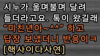[사이다사연] 시누에게 톡으로 욕했어요. 사이다썰 미즈넷사연 응징사연 반전사연 참교육사연 라디오사연 핵사이다사연 레전드사연