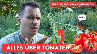 Tomaten Hacks - alles was du wissen musst - Düngen, Gießen, Schnecken, Ausgeizen, Vermehren, Ertrag