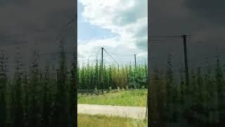 Жизнь в Германии | Анна в Германии