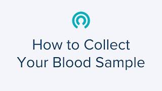 How to Collect Your Blood Sample Using Step-By-Step Instructions - LetsGetChecked Home Health Tests