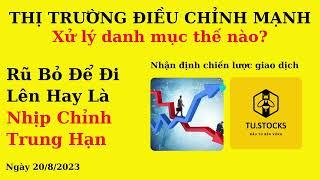 Thị trường điều chỉnh mạnh - Xử lý danh mục thế nào? | Rũ bỏ để đi lên hay là nhịp chỉnh trung hạn