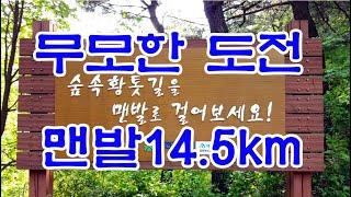 대전 계족산 황톳길 14.5km 맨발완주