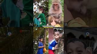 video lucu monyet bisa ketawa #shorts