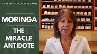 Moringa - The Miracle Antidote