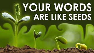 MOEtivation Monday - Your WORDS are like SEEDS - Mindset & Motivation Video