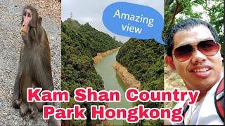 Kam Shan Country Park  Hongkong Adventure Ni Igorot️️