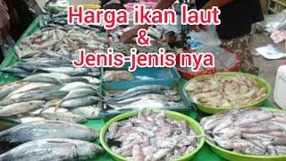 harga ikan laut per kg