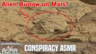 Unintentional ASMR 🪐 Proof of Life on Mars? Alien Technology?  Soft Spoken Conspiracy Theorist