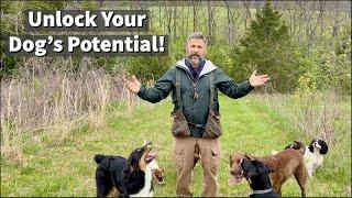 Unlock Your Dog's Potential | The Natural Way