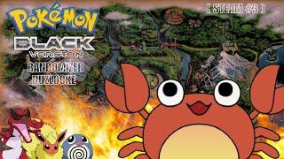 Pokemon Black Randomizer Nuzlocke [ Stream #3 ]