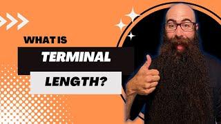 What Is Terminal Length?  | Beard Advice In 90 Seconds Or Less