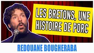 LES BRETONS, UNE HISTOIRE DE PORC - REDOUANE BOUGHERABA