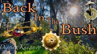 Australian metal detecting in the bushland