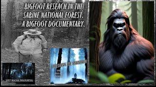 Exploring Mysterious Bigfoot Activity: Night Investigation Begins