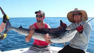 Cabo San Lucas Sport Fishing Guide - Armada Sport Fishing