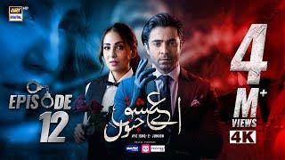 Aye Ishq e Junoon Episode 12 | Ushna Shah | Sheheryar Munawar | 17 Dec 2024 (Eng Sub) | ARY Digital