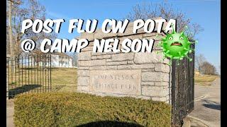 CW POTA: Flu Remedy or Snake Oil?