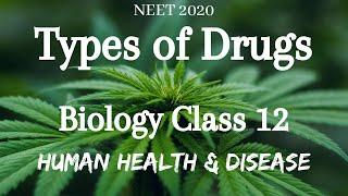 Types of Drugs | Biology Class 12 | Human Health & Diseases | NEET Biology