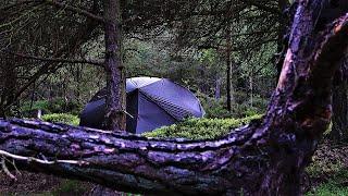 Wild Camping Alone in a Remote Forest | North Yorkshire Moors National Park