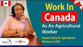 URGENT! Canada Is Looking For Agricultural Workers. 2025