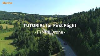 F7MINI Tutorial for First Flight