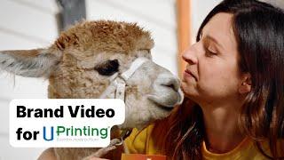 B2B Brand Video Example | UPrinting | Vidico