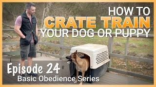 How to EASILY Crate Train your Dog or Puppy! Episode 24