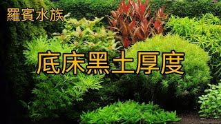 How deep is Aquasoil should be put in your aquatic plant fish tank