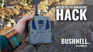 Wildlife Filmmaking Hack | Trail Cameras | Filming The Wild