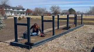 Planting Blackberries!!!  // Garden Answer