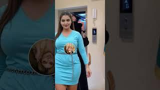 Dubai Princess Sheikha Mahra LifeStyle #sheikhamahra #dubaiprincess  #shorts #princessofdubia