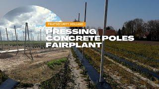 Prestressed Concrete Poles type Spinazzé Installation by Fairplant- FRUITSECURITY HOLLAND