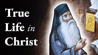 This Life is Pure Inspiration for the Spiritual Athlete - St. Iakovos of Evia