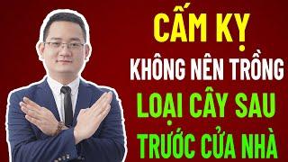 Cấm Kỵ không nên trồng loại cây sau Trước Cửa Nhà | Tuấn Phong Thủy