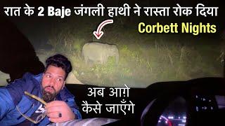 Unforgettable Encounter: My First Time with a Wild Elephant in Jim Corbett Jungle at Night Safari