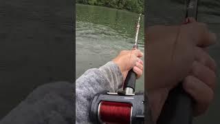 I Was Catfishing for Money When This GIANT Fish Hit