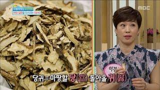 [Happyday] Healthy food : dong quai 여성을 위한 약초 '당귀' [기분 좋은 날] 20160825