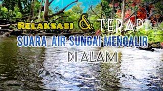 SUARA AIR SUNGAI MENGALIR DI ALAM [100% RELAKSASI DAN TERAPI]