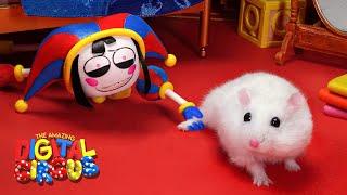  Hamster Maze Live 24/7 | Hamster in the Amazing Digital Circus 