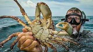 Crabbing BARE-HANDED On a Deserted Island! {Catch Clean Cook} cooking on open fire!