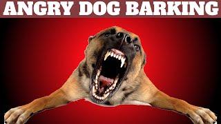 Angry Dog ​​Barking Loud | Dog Barking Sounds