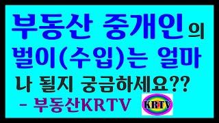 부동산 중개인 수입 얼마나 될까? 공인중개사 연간수입은 어느정도?