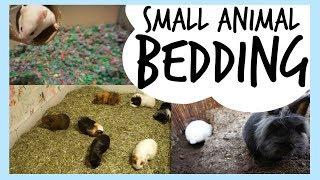 Bedding For Small Pets