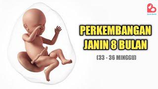 Perkembangan Janin 8 Bulan yang Ideal, Sudah Masuk Panggul?