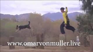 Omar von Muller LIVE