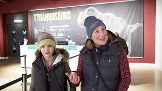 Tyrannosaurs at the National Museum of Scotland: Visitors’ views