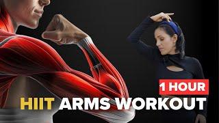 1 Hour Easy-to-Follow Home Workout for Toned Arms - Perfect for Beginners and Busy Schedules