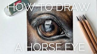 How to draw a realistic horse eye | Coloured Pencil Tutorial - Part 1/2